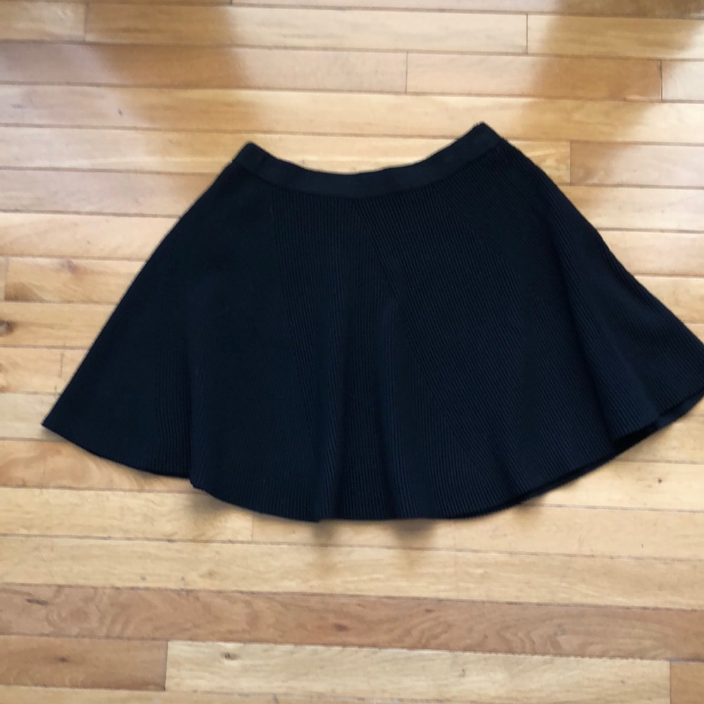 Endless Rose Skater Skirt